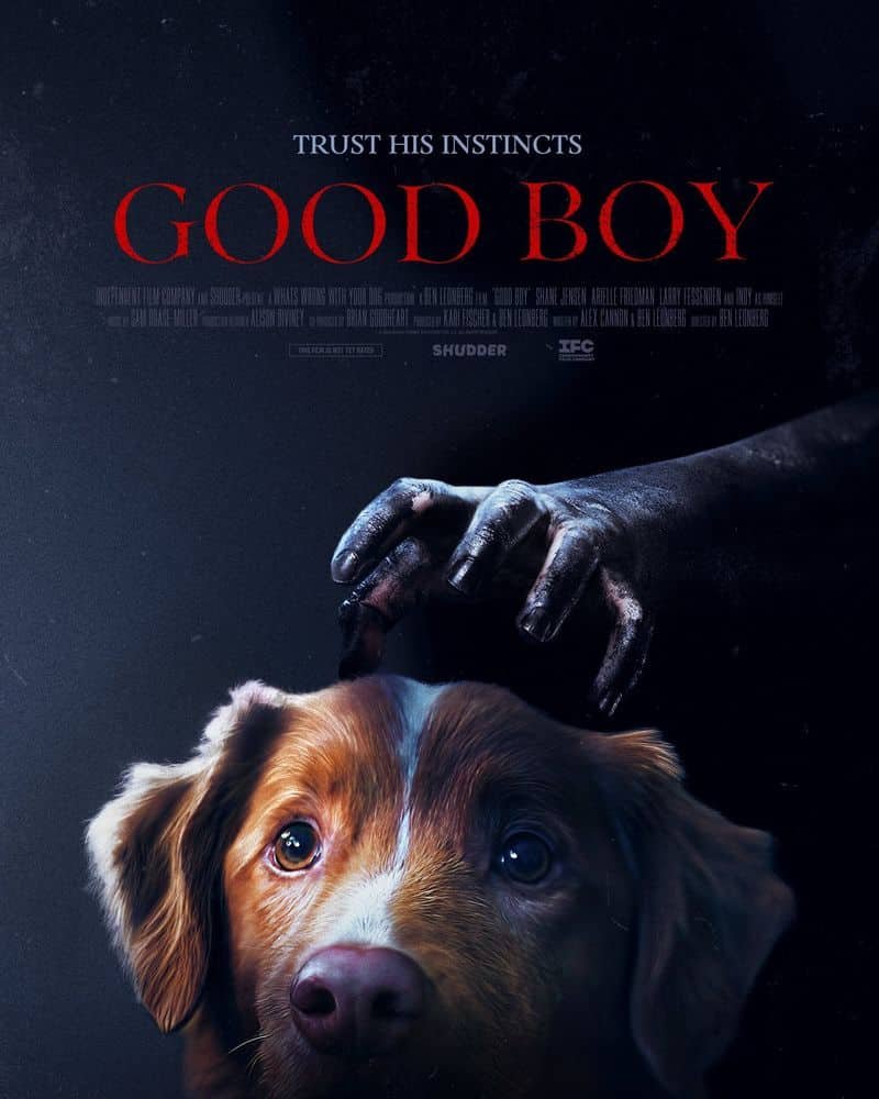 รีวิวหนัง Good Boy มะหมาเห็นผี (2025)